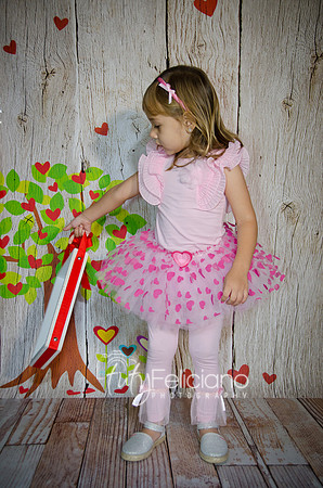 2014 Valentine-1132