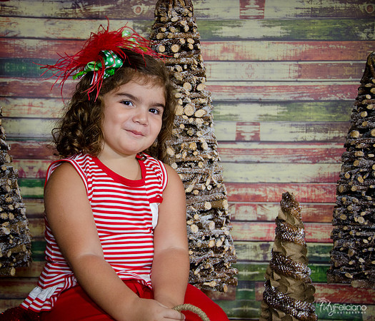 Navidad 2014-1568