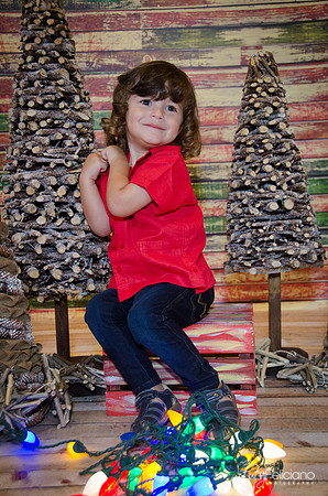 navidad 2014-11634