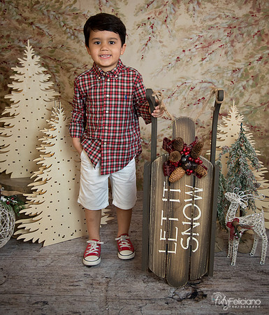 Navidad-18590