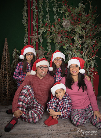 2017-Navidad-191