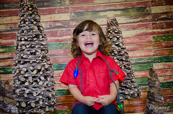 navidad 2014-11713
