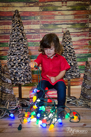 navidad 2014-11550