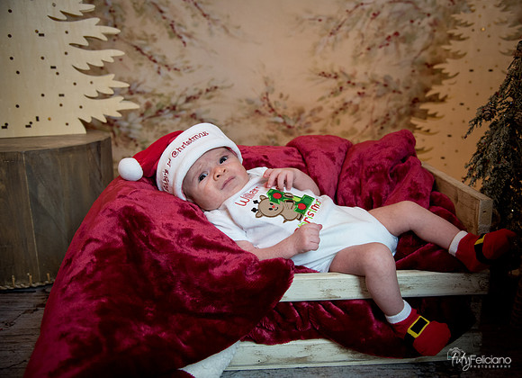 Navidad-3056