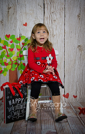 2014 Valentine-33