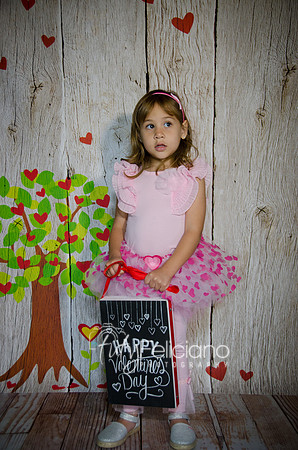 2014 Valentine-1139