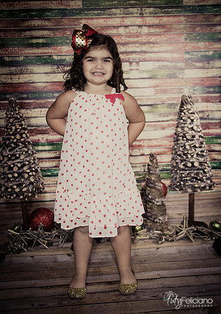 Navidad 2014-1180