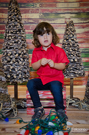 navidad 2014-11614