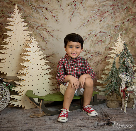 Navidad-18551