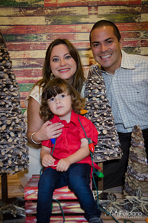 navidad 2014-11733