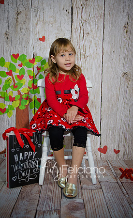 2014 Valentine-22