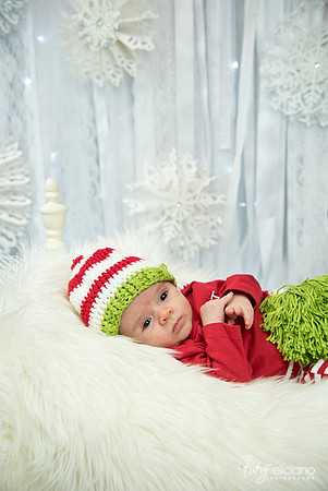 Navidad-2781
