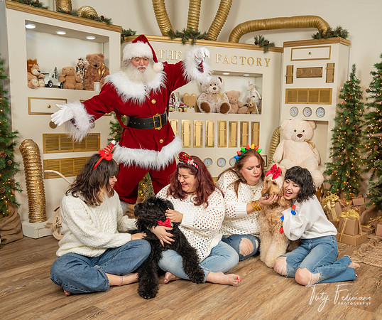12 SME-2133