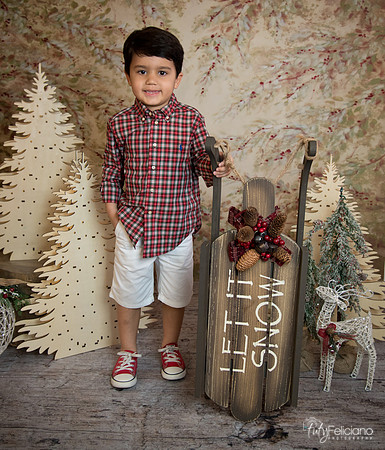 Navidad-18587