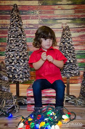 navidad 2014-11587