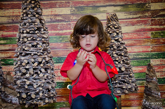 navidad 2014-11701