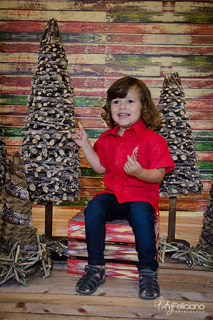 navidad 2014-11546