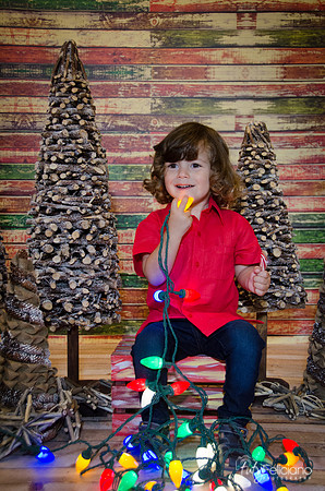 navidad 2014-11559