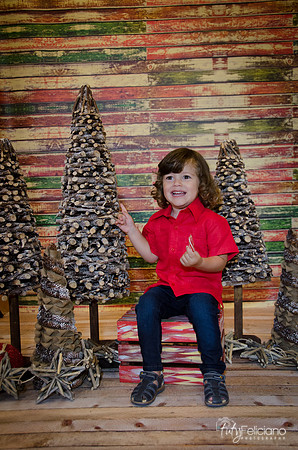 navidad 2014-11545