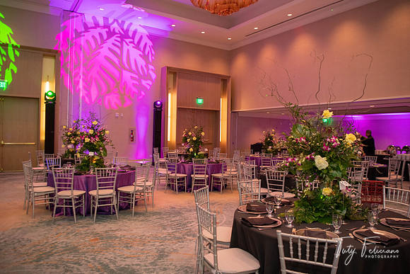Prom Adianez-1080