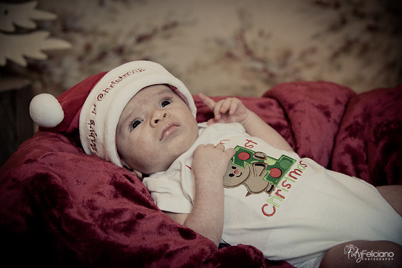 Navidad-3041