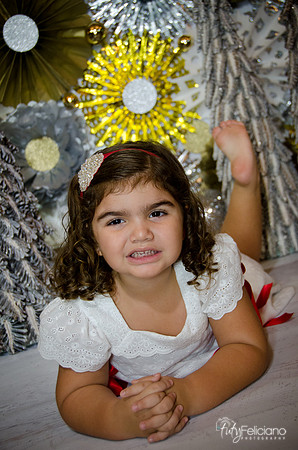 Navidad 2014-1430