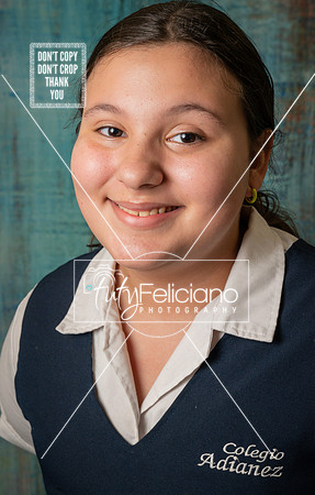 Adianez 3-1461