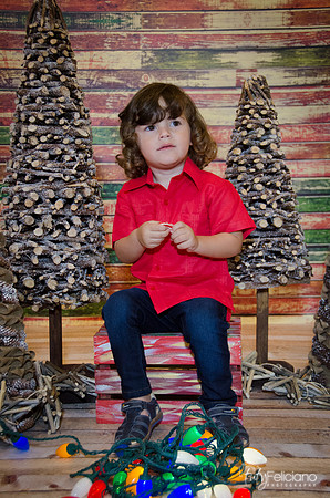 navidad 2014-11613