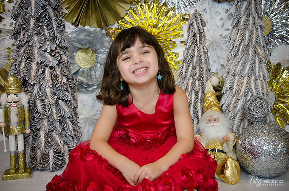 Navidad2014-121699