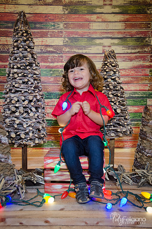 navidad 2014-11694
