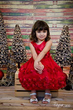 Navidad2014-121575