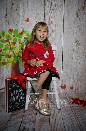 2014 Valentine-4