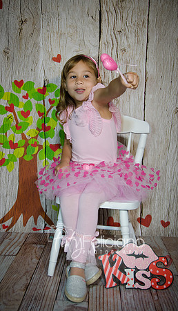 2014 Valentine-883