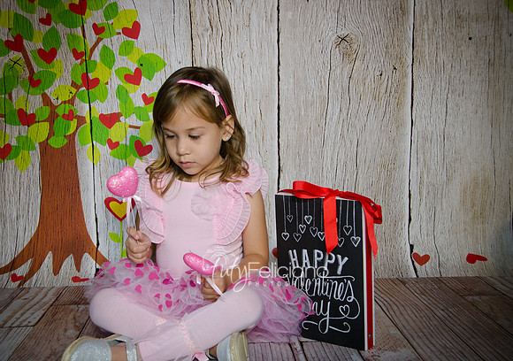 2014 Valentine-1038