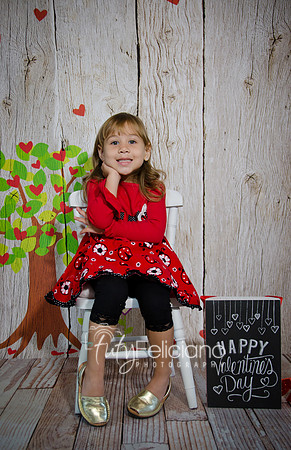 2014 Valentine-89