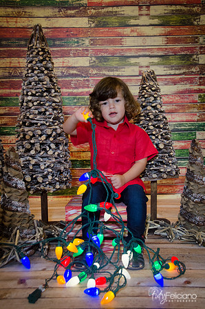 navidad 2014-11549