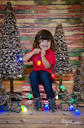 navidad 2014-11677