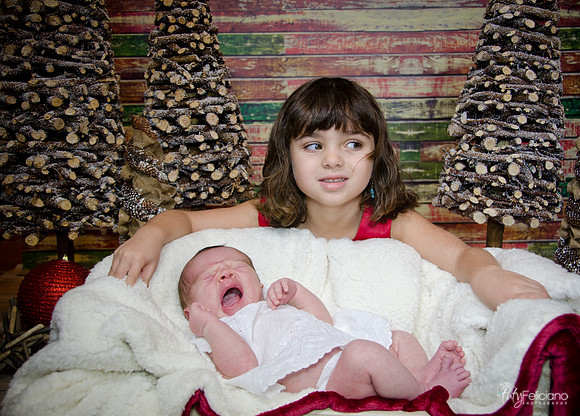 Navidad2014-121786