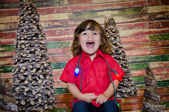 navidad 2014-11711