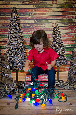 navidad 2014-11551