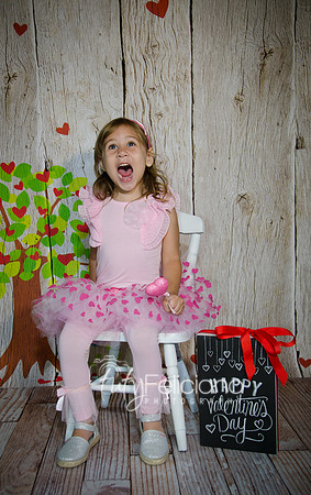 2014 Valentine-977