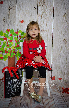 2014 Valentine-27
