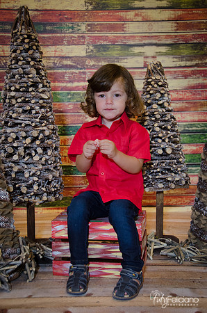 navidad 2014-11532