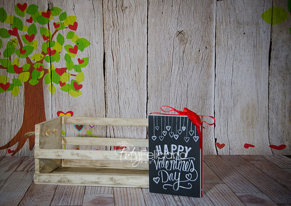 2014 Valentine-544