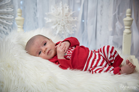 Navidad-2761