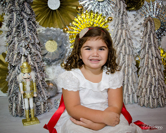 Navidad 2014-1327