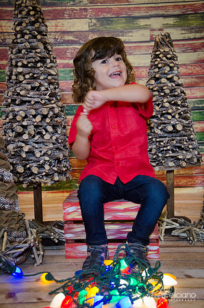 navidad 2014-11629