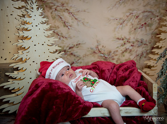 Navidad-3011