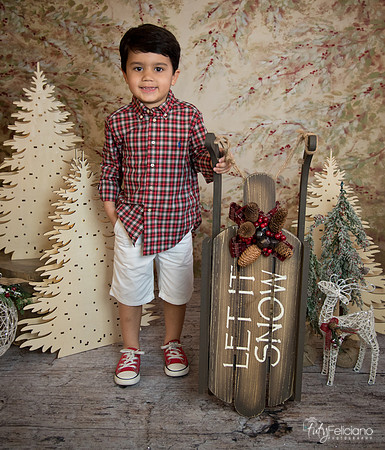 Navidad-18588