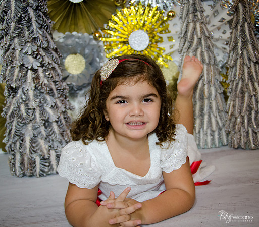 Navidad 2014-1424